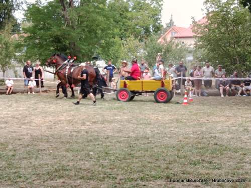 IMG_20260801_113959